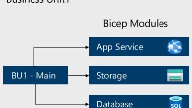Bicep module