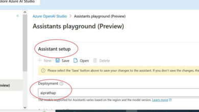 Assistant playground