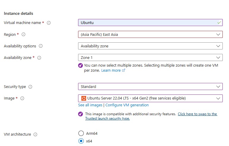 Instance details