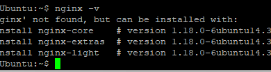 Nginx -v