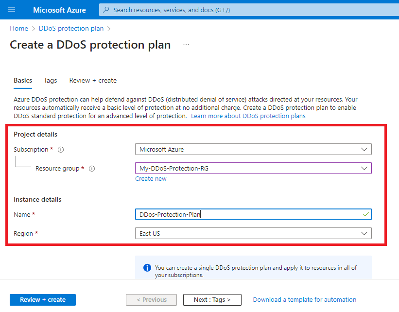 DDoS-Protection