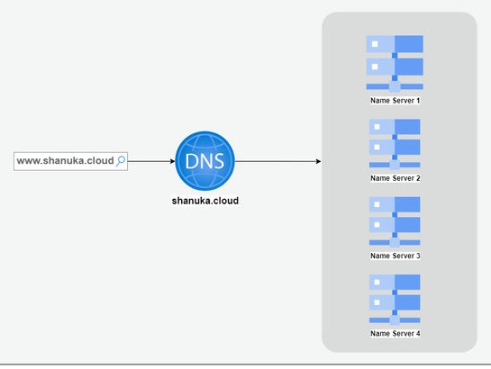 DNS