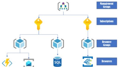 Management Scope